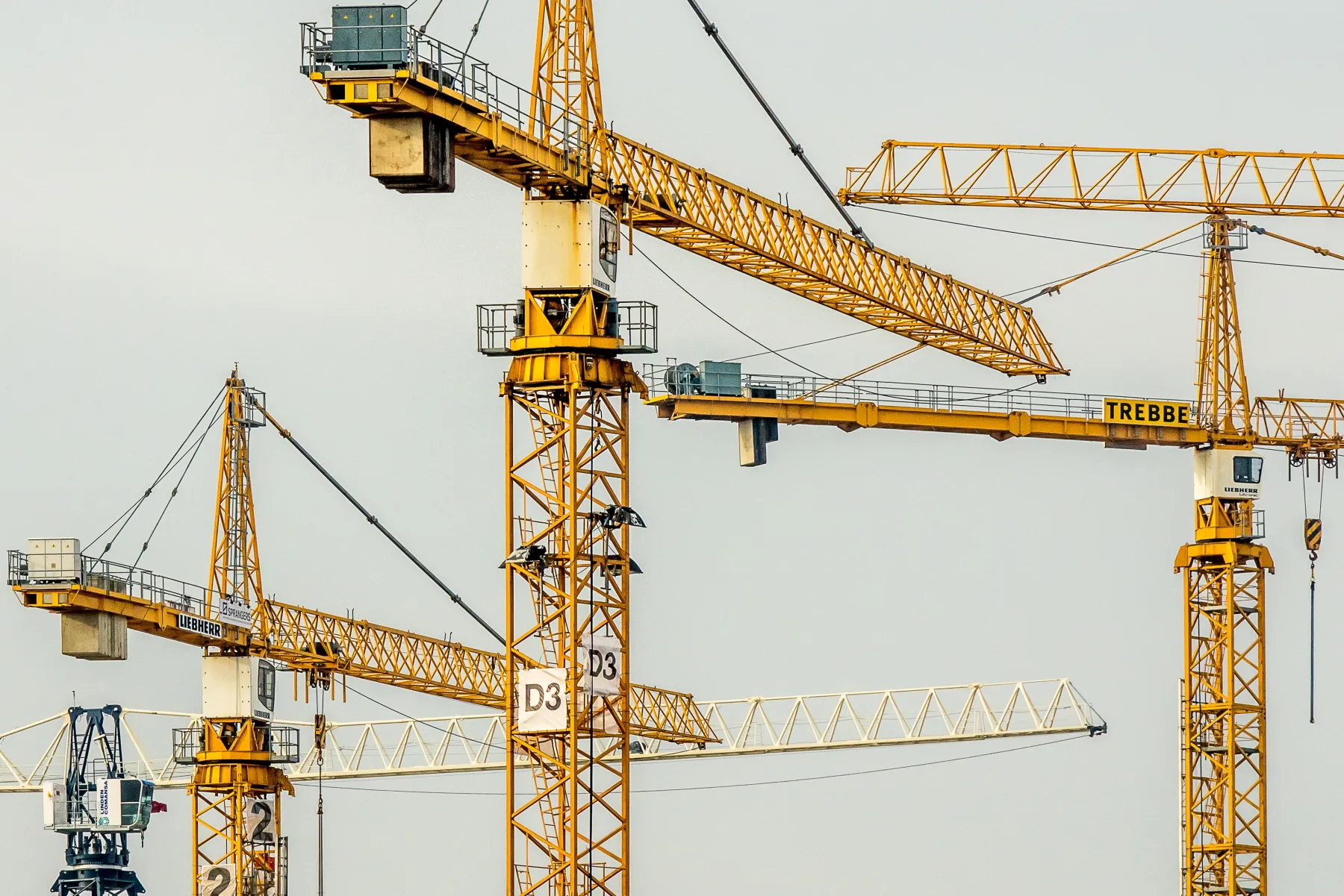 Project management and development advisory